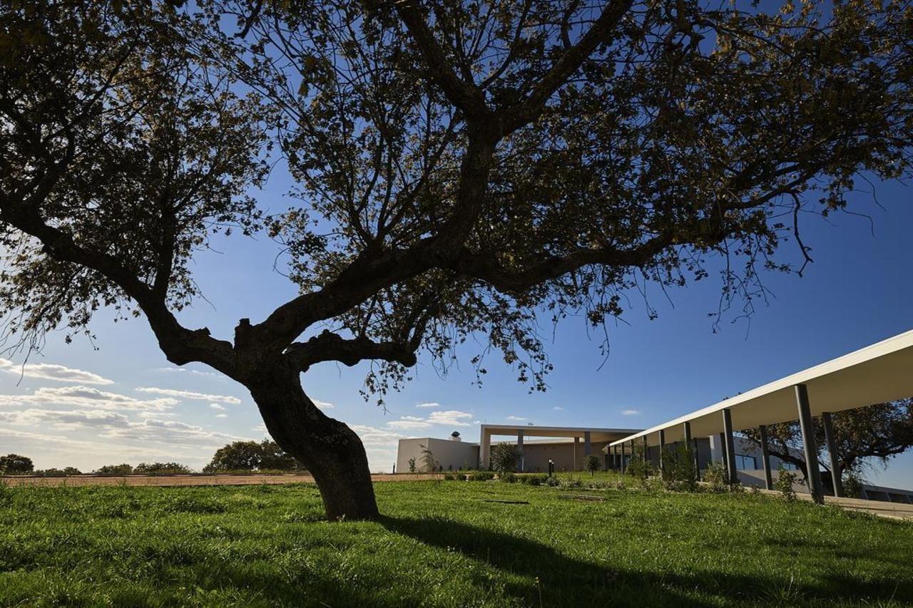Herdade Dos Delgados Mourao Bagian luar foto