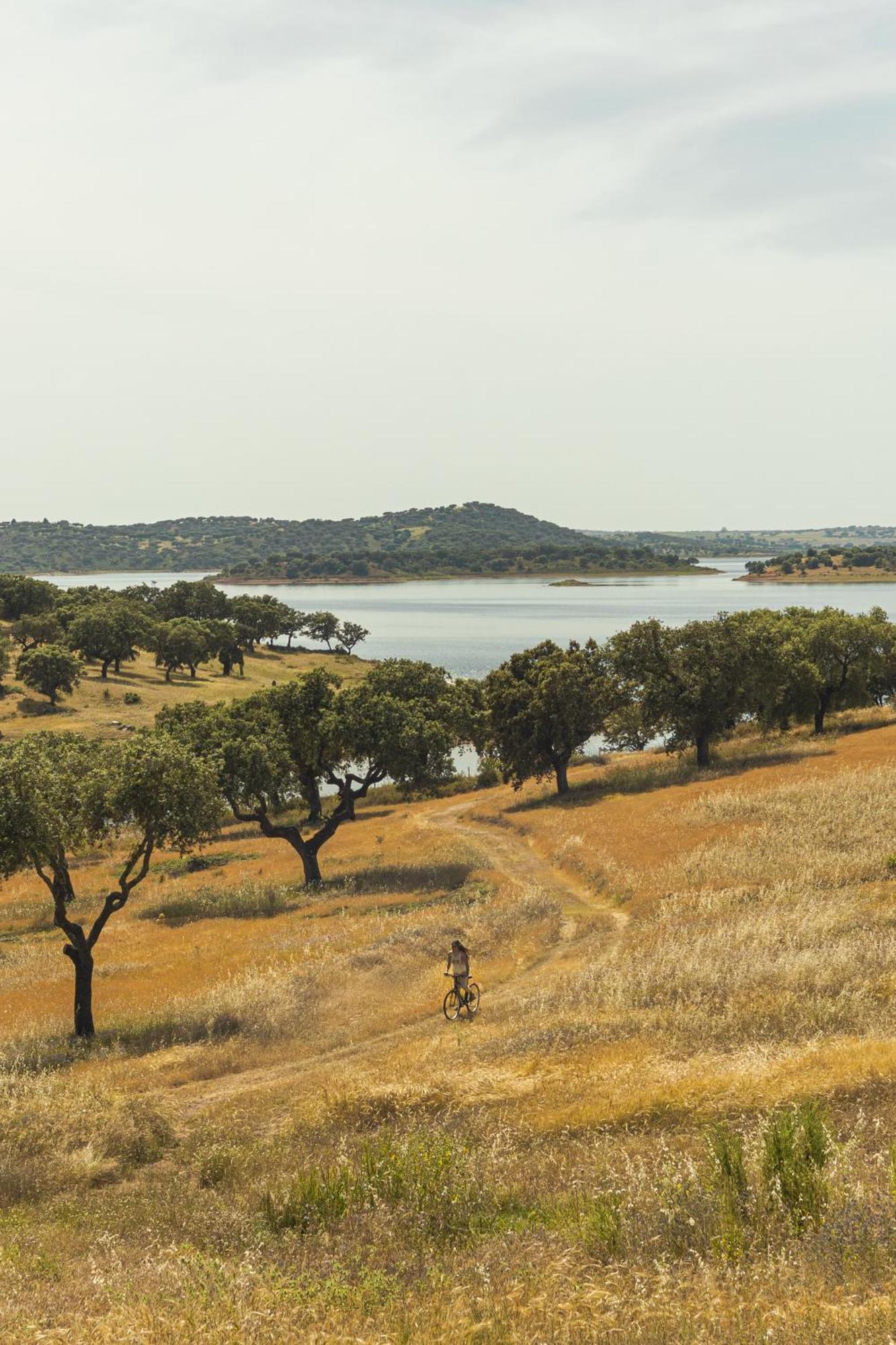 Herdade Dos Delgados Mourao Bagian luar foto