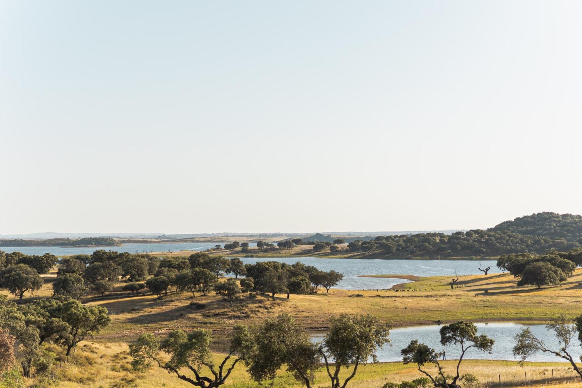Herdade Dos Delgados Mourao Bagian luar foto